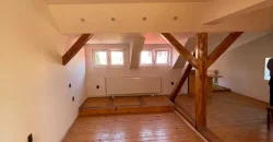 Casa, singur in curte , Bulevardul Cetatii