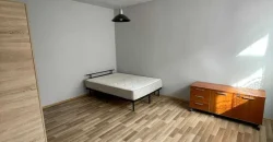 Apartament 2 camere, zona Cetate, la curte/ UMF/ Cornisa