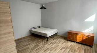 Apartament 2 camere, zona Cetate, la curte/ UMF/ Cornisa