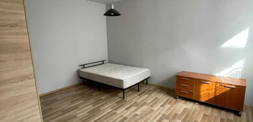 Apartament 2 camere, zona Cetate, la curte/ UMF/ Cornisa