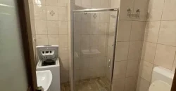 Apartament 2 camere, zona Cetate, la curte/ UMF/ Cornisa